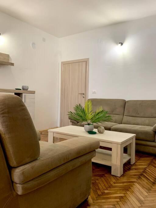 Central City Apartment *